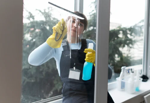 Nettoyage de vitres intérieures et extérieures à Chalencon